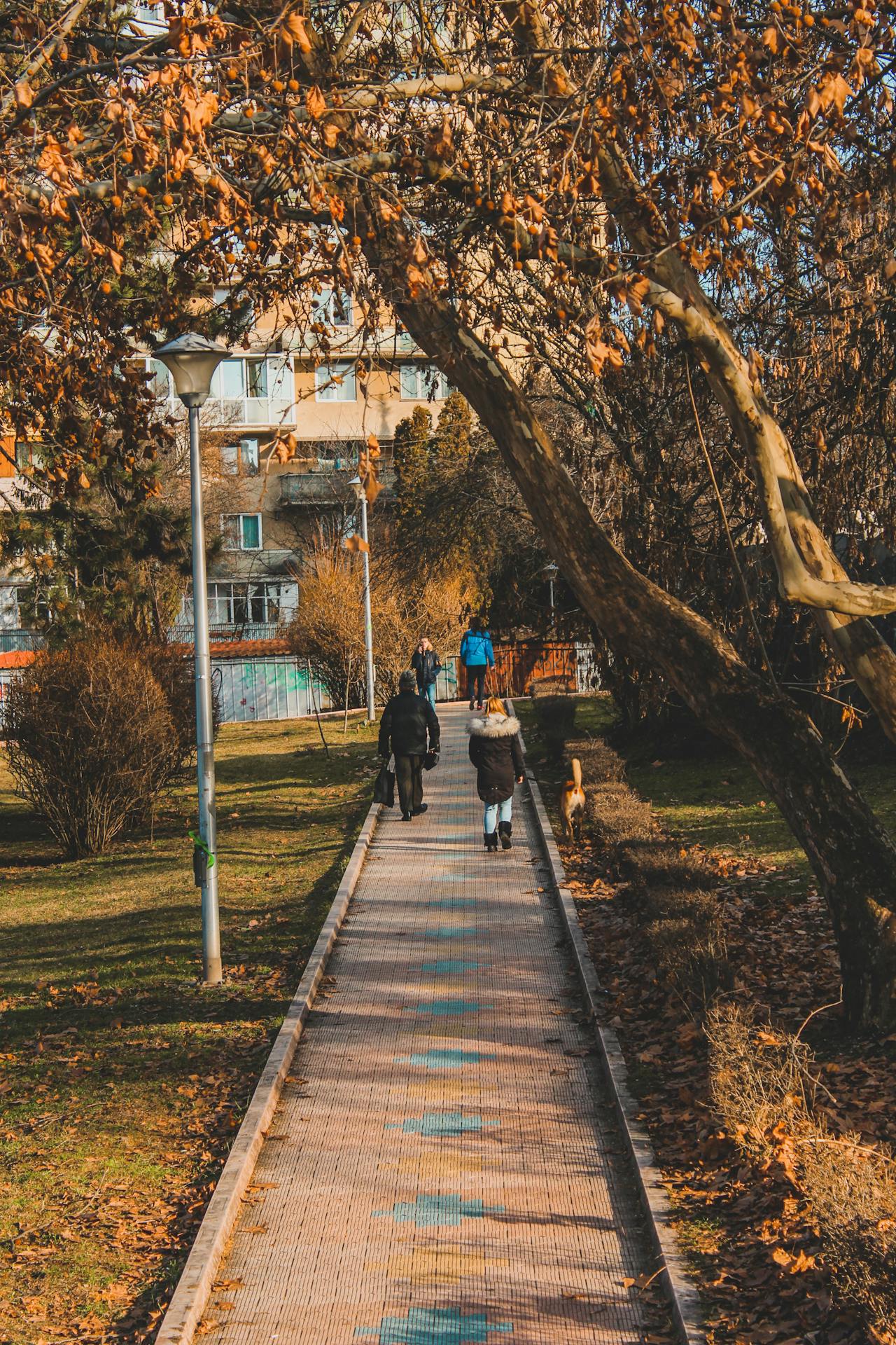 checklist diário de motivação