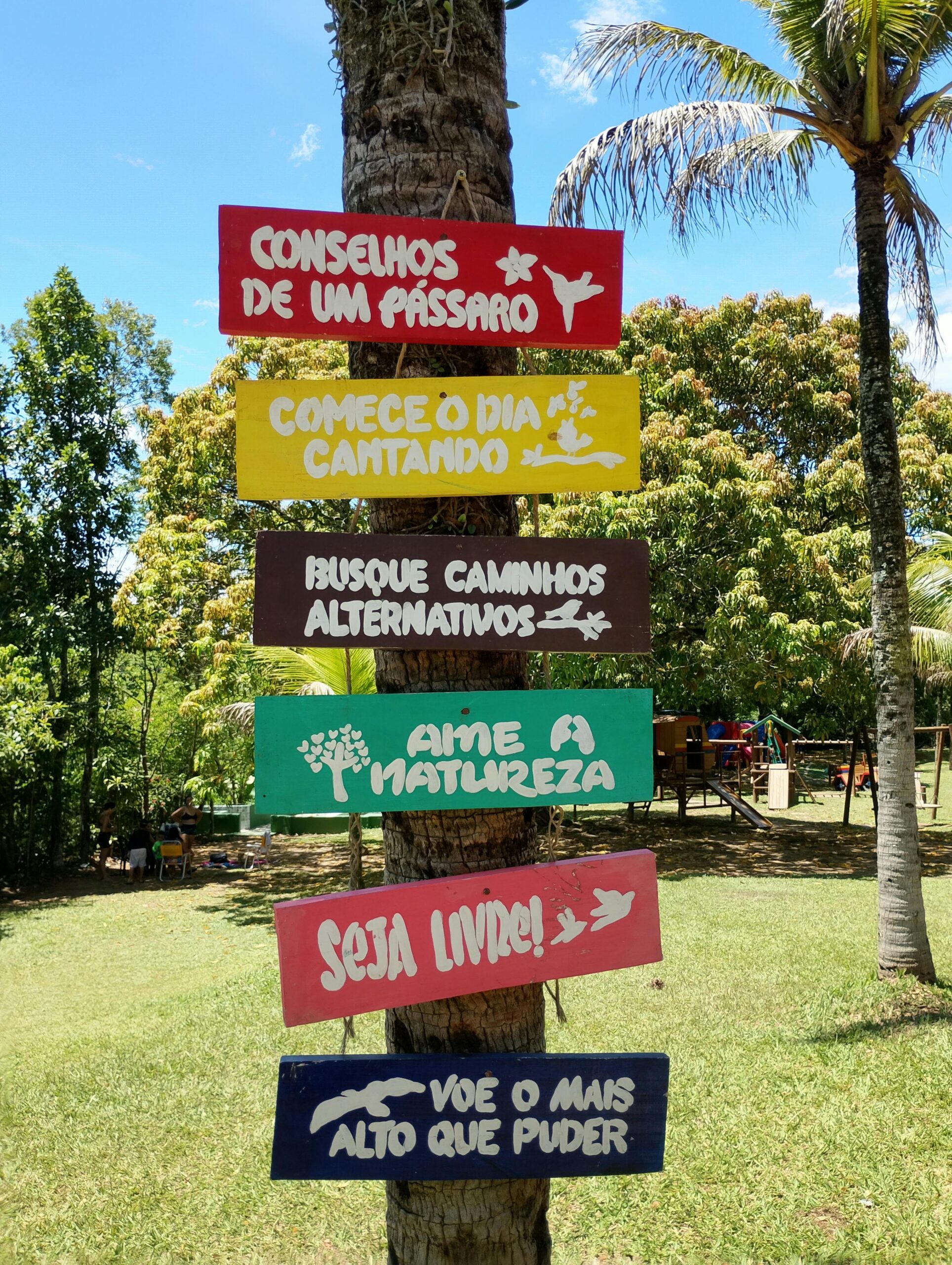 frases motivacionais curtas