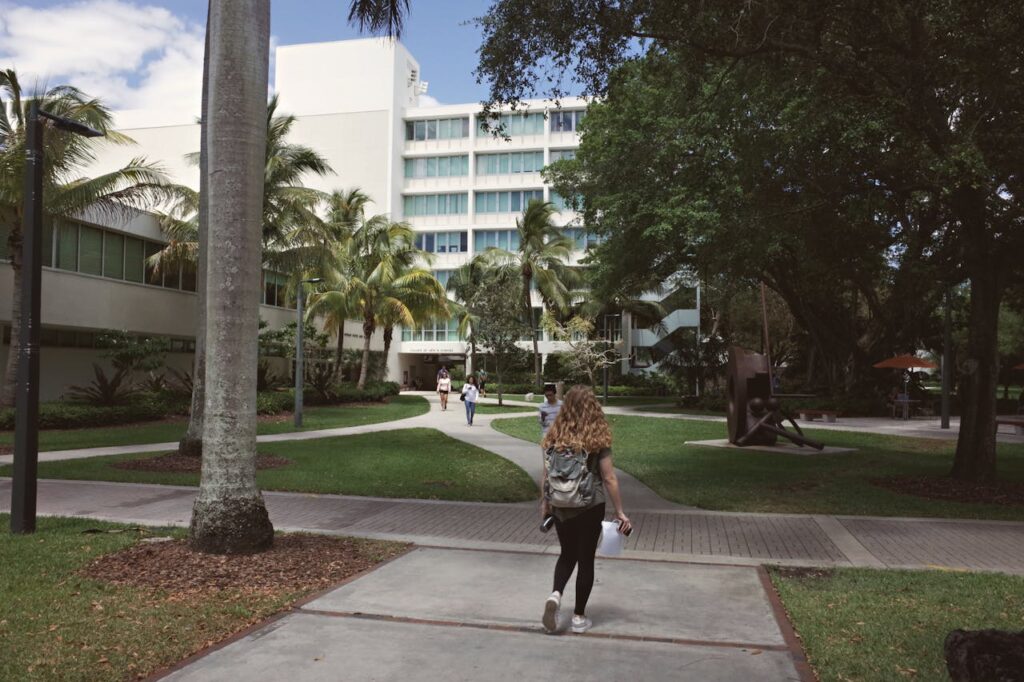 universidade