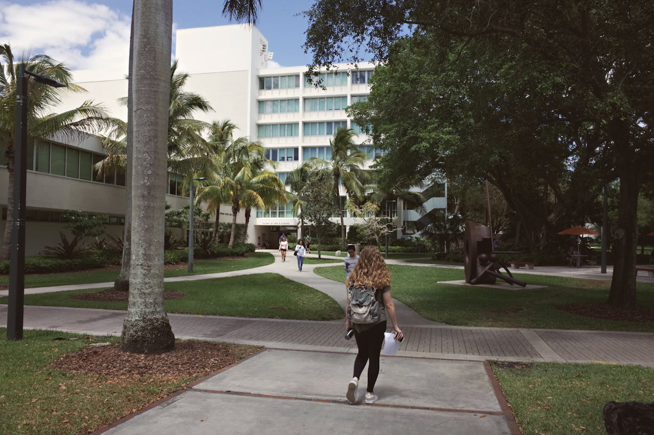 universidade