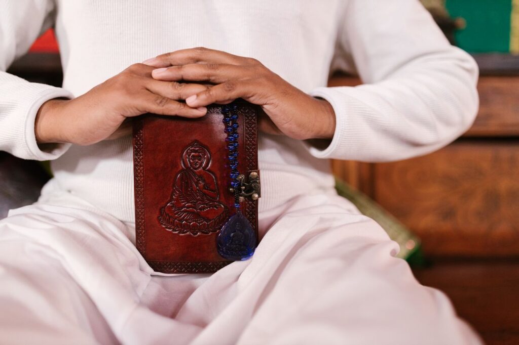 meditacao na neuroplasticidade