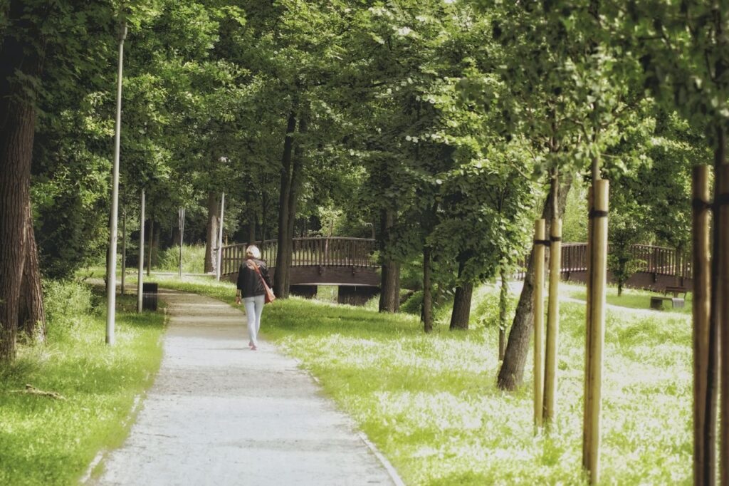 jornada de cura do burnout - pessoa caminhando em um parque arborizado ao ar livre